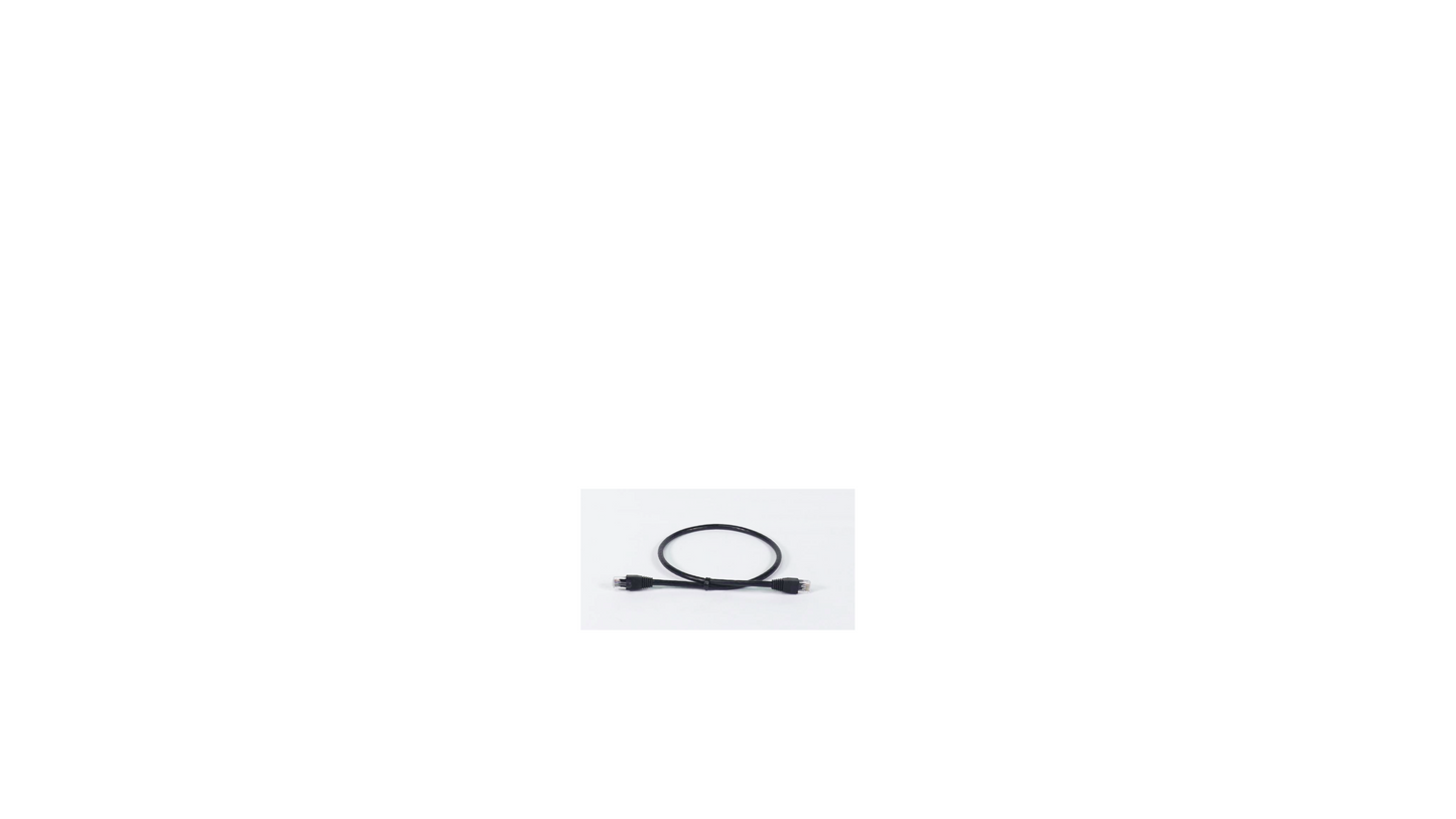 2 ft Cat 5 Cable