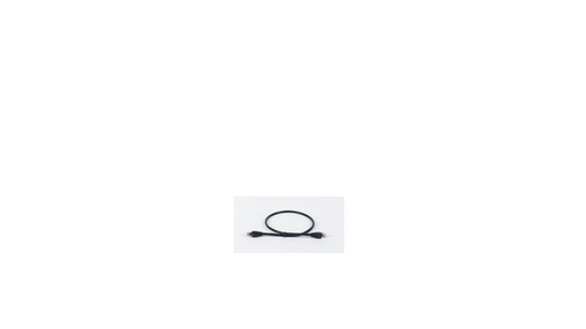 2 ft Cat 5 Cable