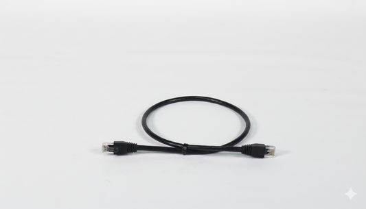 2 ft Cat 5 Cable